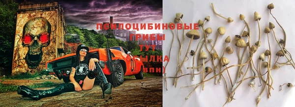 экстази Новозыбков