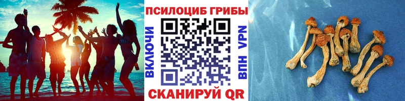 Псилоцибиновые грибы Cubensis  цена наркотик  даркнет клад  Усолье  МЕГА  