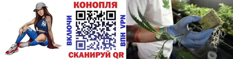 Шишки марихуана Amnesia  Усолье 